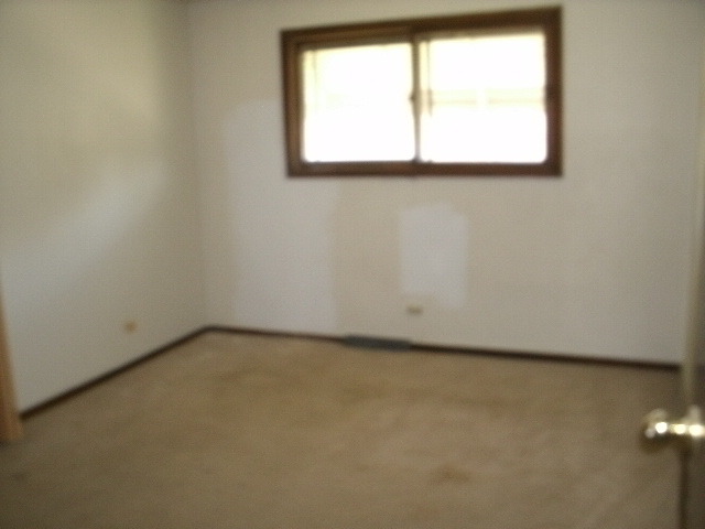 1700 E 156th St, Dolton, IL 60419 photo 11