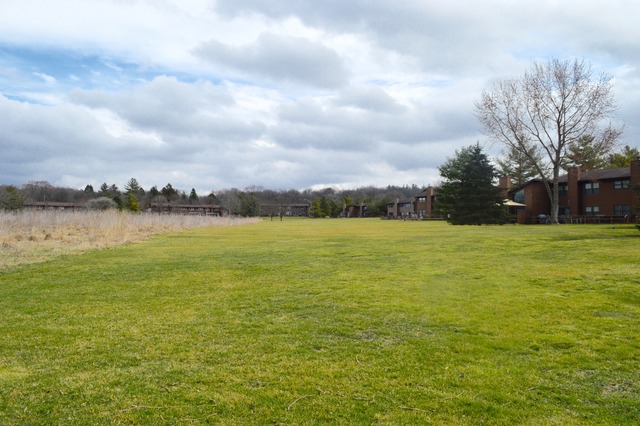 9821 Amanda Ln, Algonquin, IL 60102 photo 22