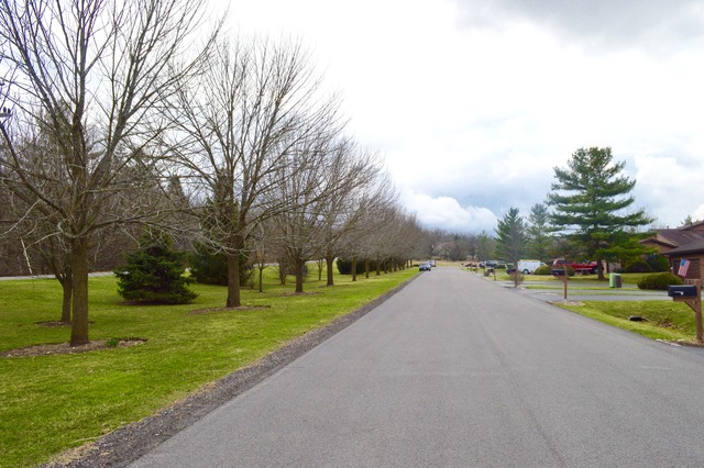 9821 Amanda Ln, Algonquin, IL 60102 photo 20