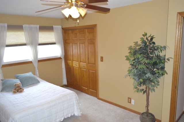 9821 Amanda Ln, Algonquin, IL 60102 photo 13