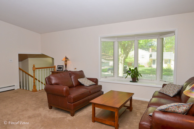 723 Webster St, Algonquin, IL 60102 photo 4