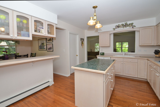 723 Webster St, Algonquin, IL 60102 photo 6