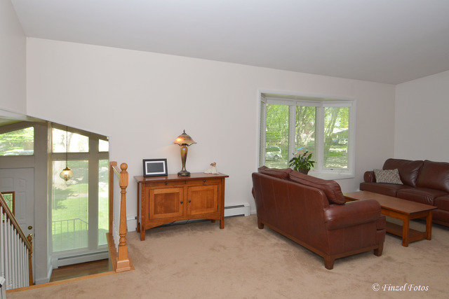 723 Webster St, Algonquin, IL 60102 photo 3