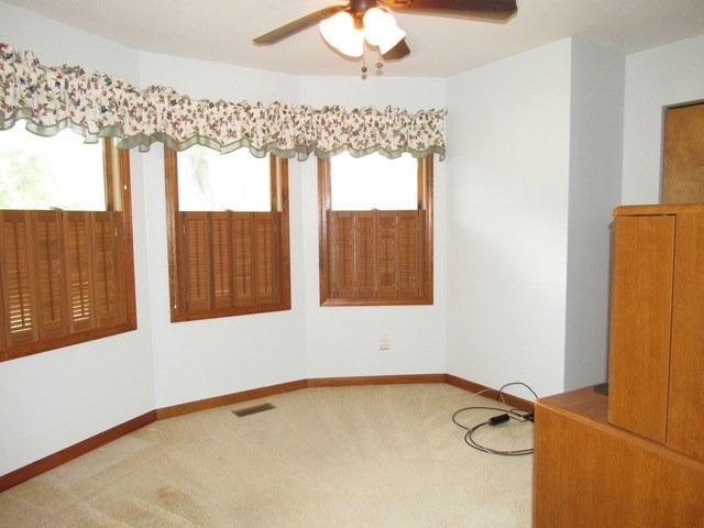 117 E 3rd St, Braidwood, IL 60408 photo 15