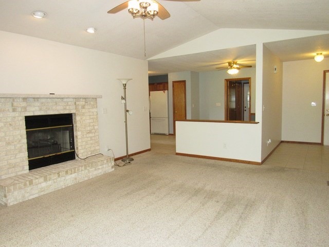 117 E 3rd St, Braidwood, IL 60408 photo 5