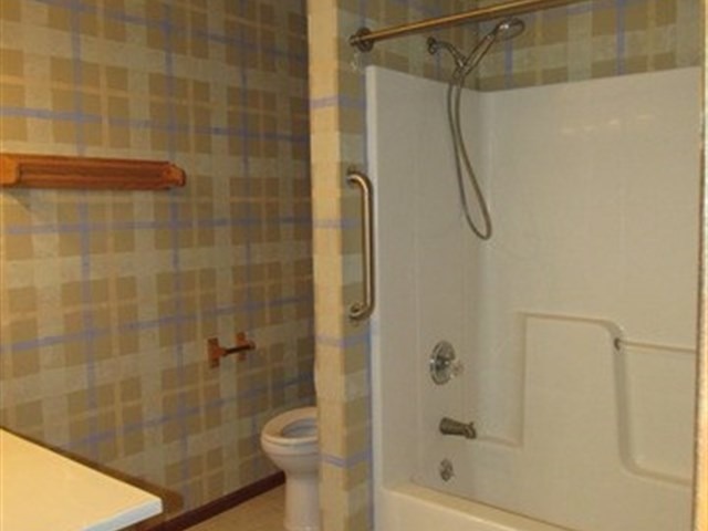 117 E 3rd St, Braidwood, IL 60408 photo 13