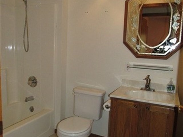 117 E 3rd St, Braidwood, IL 60408 photo 19