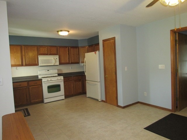 117 E 3rd St, Braidwood, IL 60408 photo 8