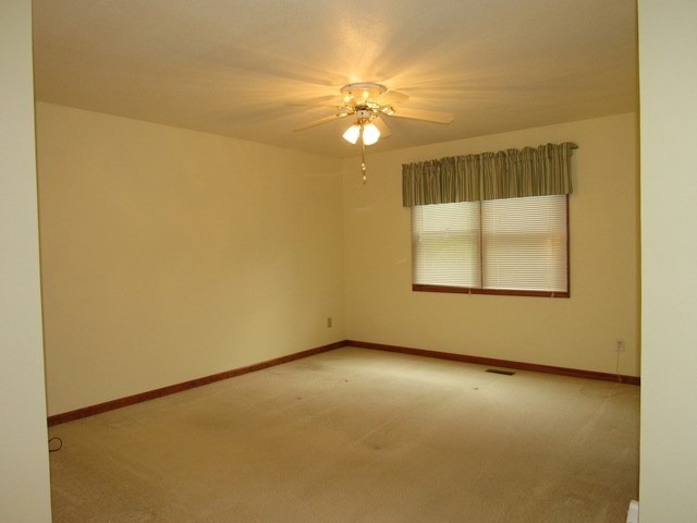 117 E 3rd St, Braidwood, IL 60408 photo 12