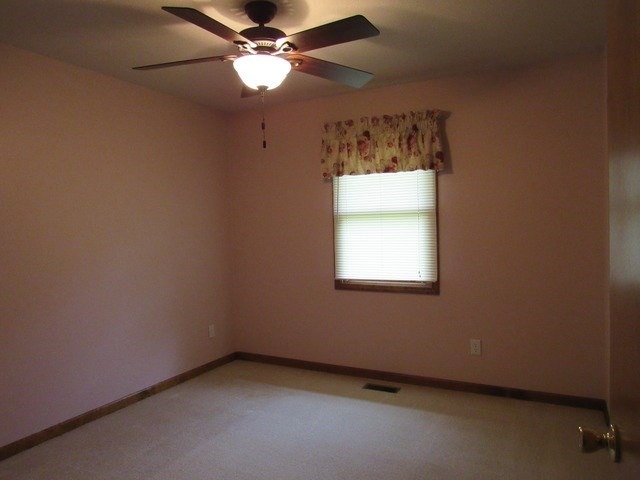 117 E 3rd St, Braidwood, IL 60408 photo 16