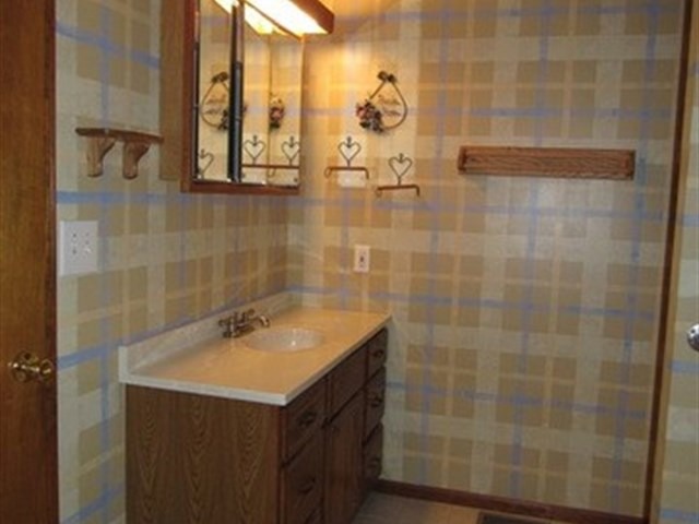 117 E 3rd St, Braidwood, IL 60408 photo 14