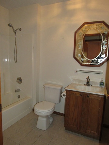 117 E 3rd St, Braidwood, IL 60408 photo 21