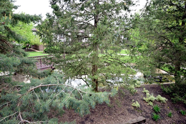 1608 Thames Ct #C, Wheaton, IL 60189 photo 12
