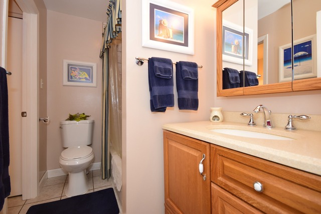 1608 Thames Ct #C, Wheaton, IL 60189 photo 19