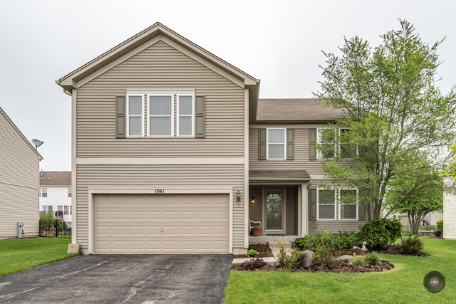 1041 Wise St, Elburn, IL 60119 photo 1