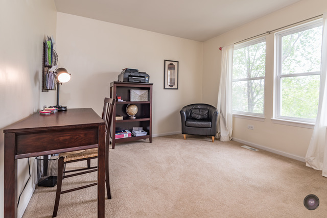 1041 Wise St, Elburn, IL 60119 photo 23