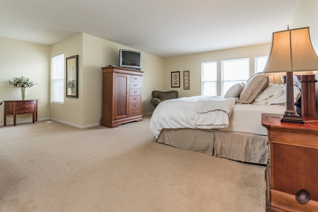 1041 Wise St, Elburn, IL 60119 photo 18