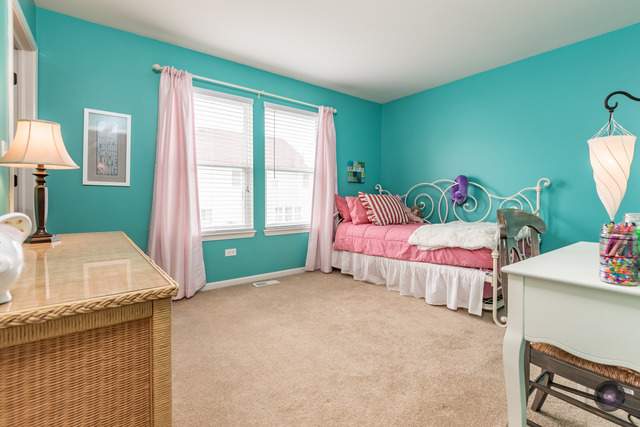 1041 Wise St, Elburn, IL 60119 photo 22