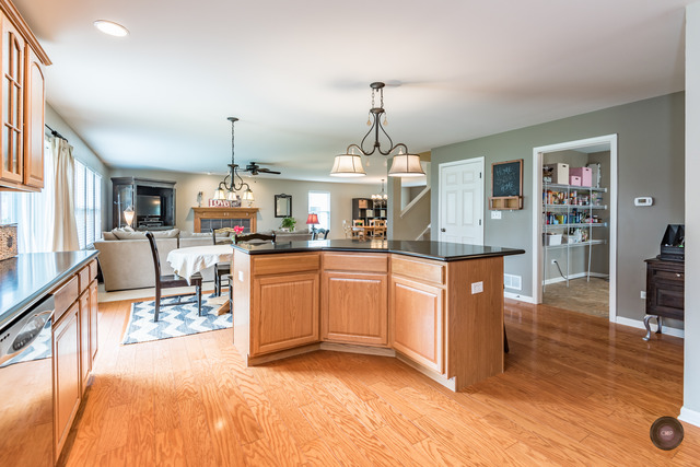 1041 Wise St, Elburn, IL 60119 photo 13