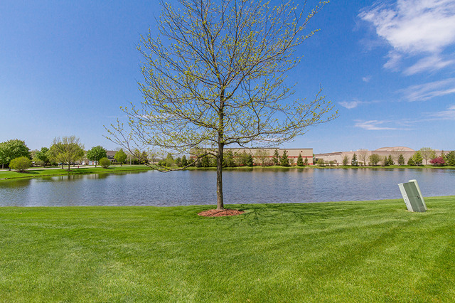 2474 Stonegate Rd, Algonquin, IL 60102 photo 25