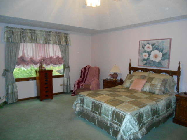 15520 S Pawnee St, Plainfield, IL 60544 photo 18