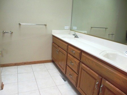 1050 Bluebird Ln, Roselle, IL 60172 photo 17