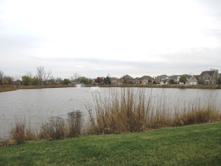 1050 Bluebird Ln, Roselle, IL 60172 photo 24
