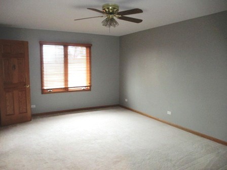 1050 Bluebird Ln, Roselle, IL 60172 photo 14