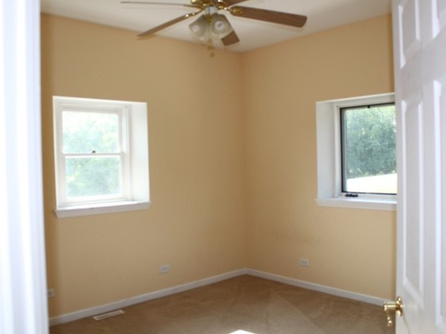 3911 Ridge Rd, Spring Grove, IL 60081 photo 16