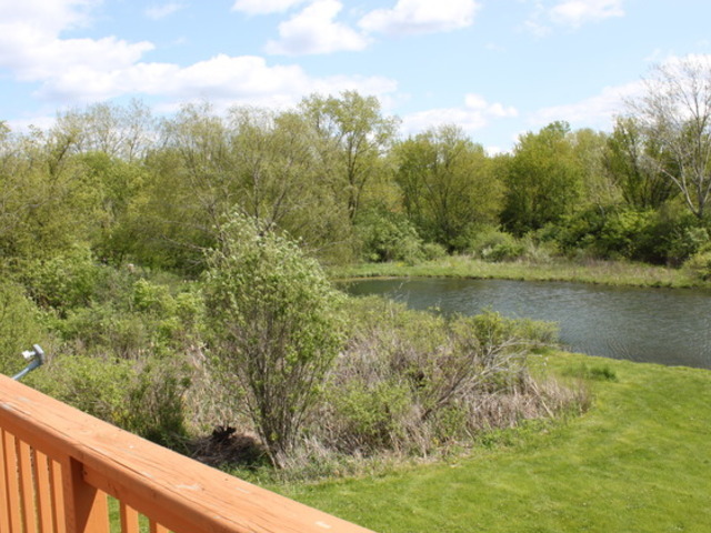 3911 Ridge Rd, Spring Grove, IL 60081 photo 24