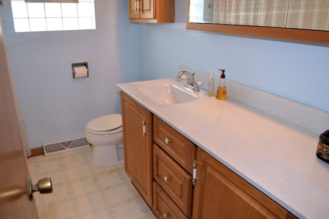 17622 Walter St, Lansing, IL 60438 photo 9