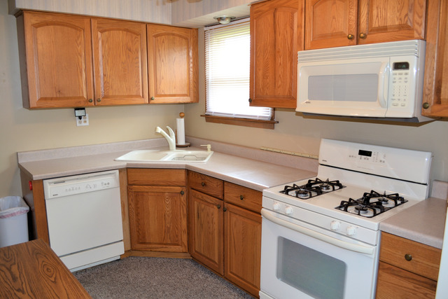 17622 Walter St, Lansing, IL 60438 photo 8