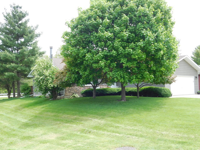 906 Edgelawn Dr, Plano, IL 60545 photo 23