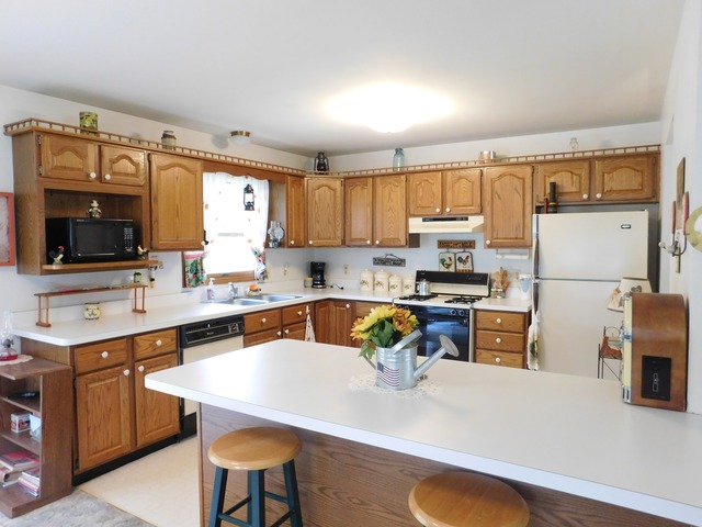 906 Edgelawn Dr, Plano, IL 60545 photo 9