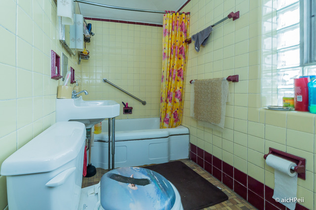 9105 S Perry Ave, Chicago, IL 60620 photo 15