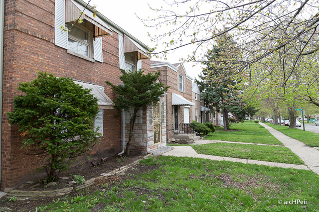 9105 S Perry Ave, Chicago, IL 60620 photo 21