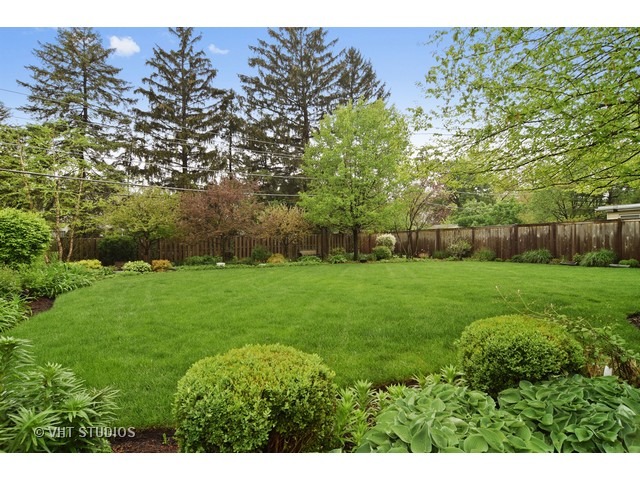 446 N Maple Ave, Elmhurst, IL 60126 photo 4