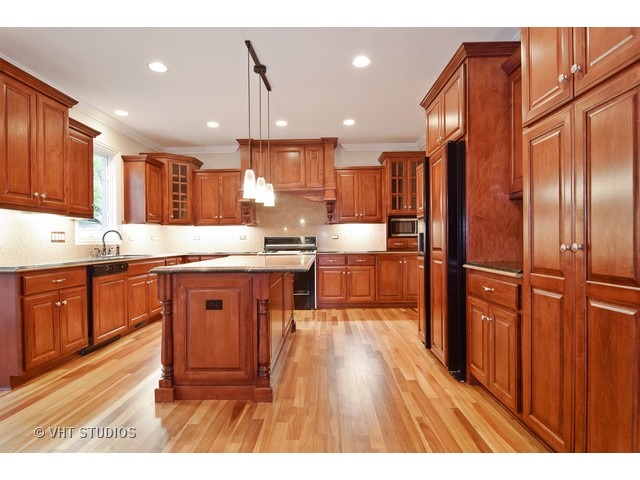 446 N Maple Ave, Elmhurst, IL 60126 photo 6