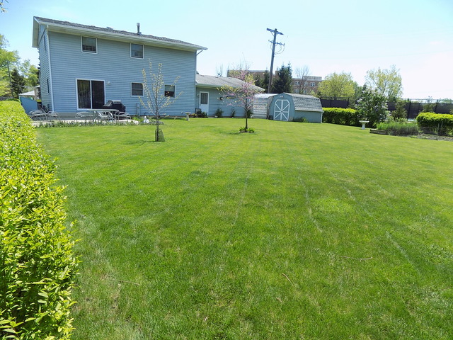 236 2nd St, Wheeling, IL 60090 photo 19