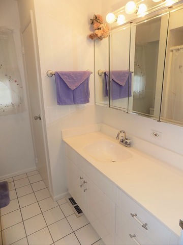 236 2nd St, Wheeling, IL 60090 photo 10