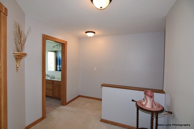 12329 S Bobwhite Ln, Plainfield, IL 60585 photo 16