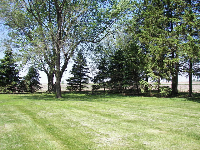 1631 E 29th Rd, Ransom, IL 60470 photo 21