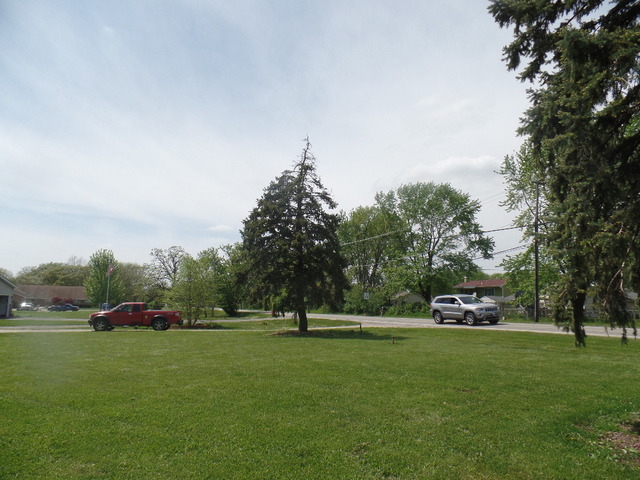 1185 Bode Rd, Elgin, IL 60120 photo 6