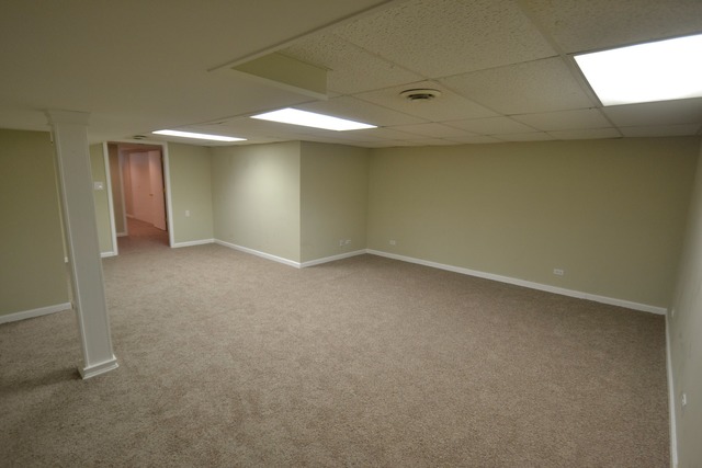 1185 Bode Rd, Elgin, IL 60120 photo 21