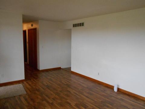 804 W Main St, Sublette, IL 61367 photo 13