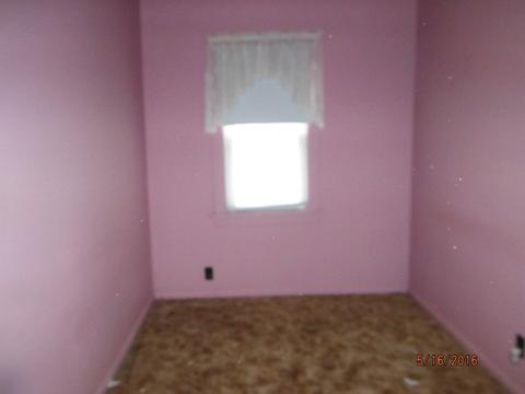 315 E 3rd St, Spring Valley, IL 61362 photo 9