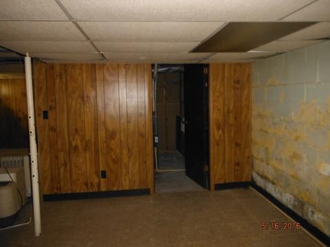 315 E 3rd St, Spring Valley, IL 61362 photo 6