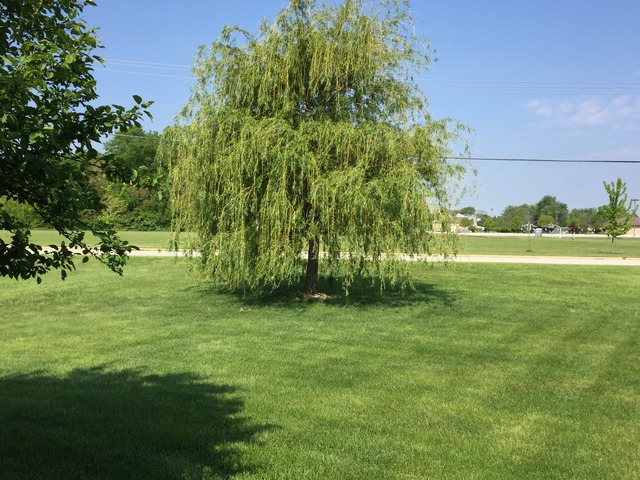 2013 Sandstone Trl, Kankakee, IL 60901 photo 21
