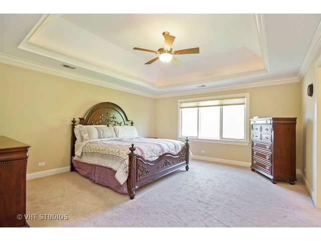 524 Spring St, Roselle, IL 60172 photo 14