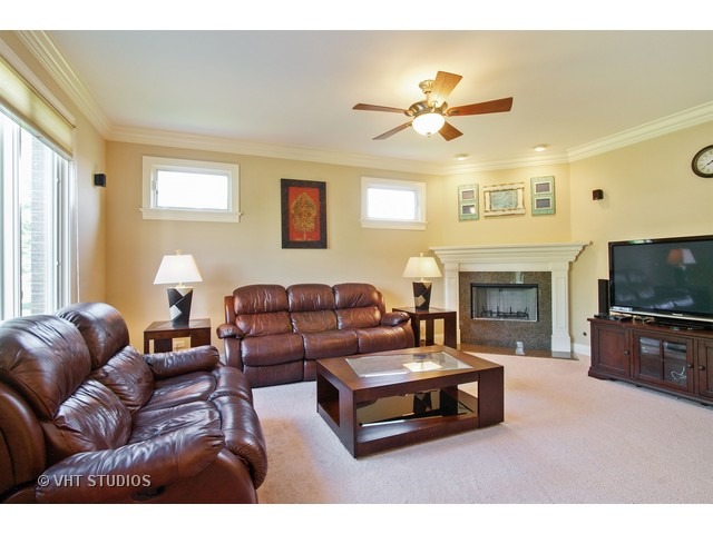 524 Spring St, Roselle, IL 60172 photo 10